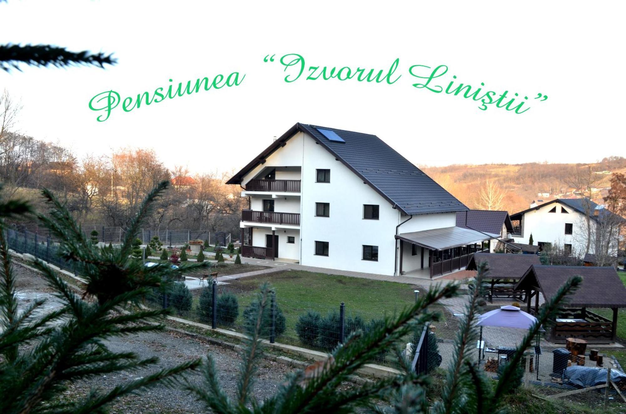 Pensiunea Izvorul Linistii Radaseni Exterior foto
