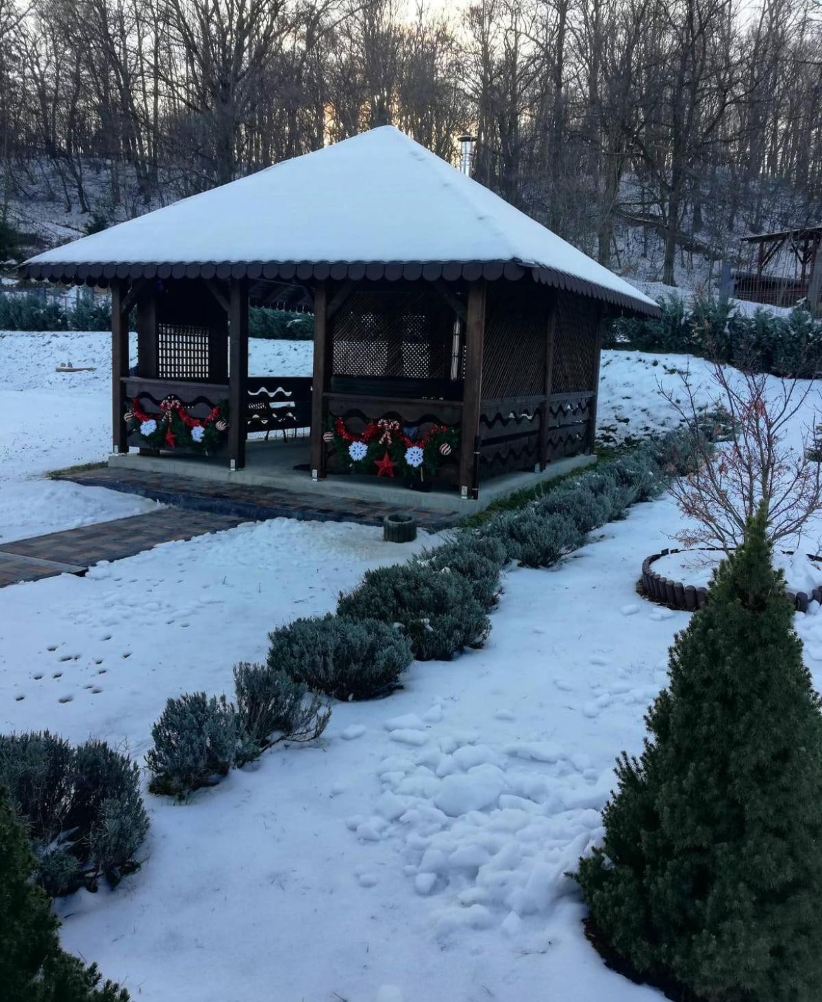 Pensiunea Izvorul Linistii Radaseni Exterior foto